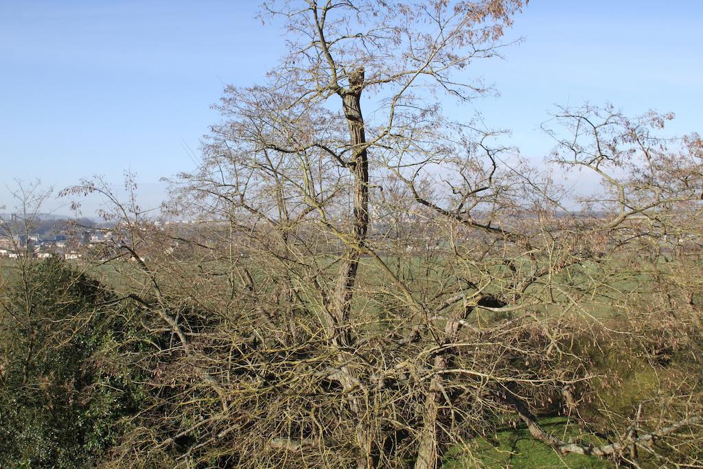 Chateau De La Folie Trie-Château Zewnętrze zdjęcie